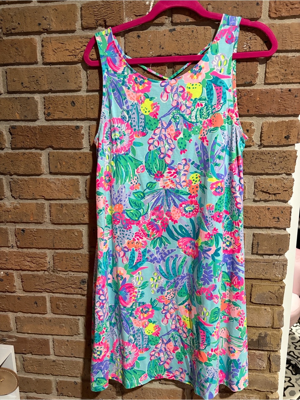 Lilly Pulitzer Dress in Me and My Zesty